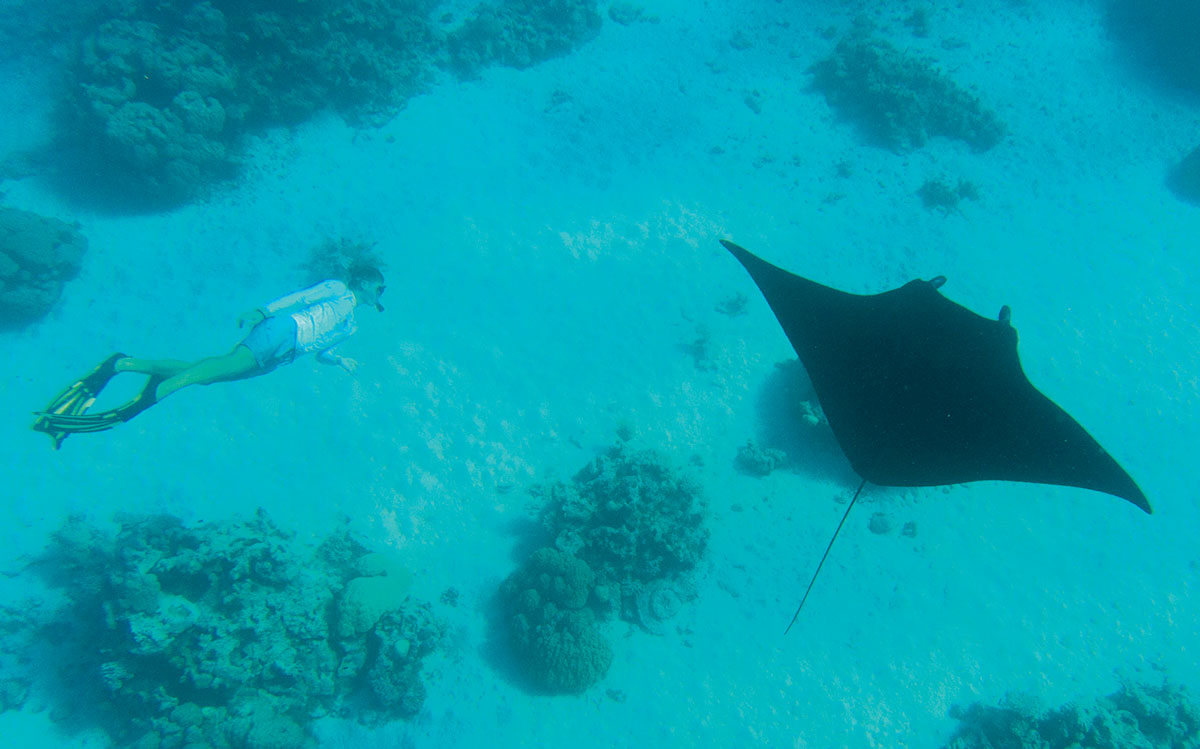 sailing-around-the-world-couples-guide-suwarrow-cook-islands-manta-rays-credit-haley-haltom